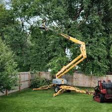 Trusted Wilkshire Hills, OH Tree Care Experts